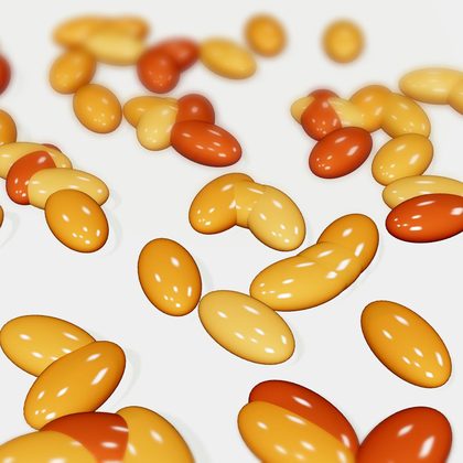Amber and orange softgelatin capsules — representative of the softgel and nutraceutical range