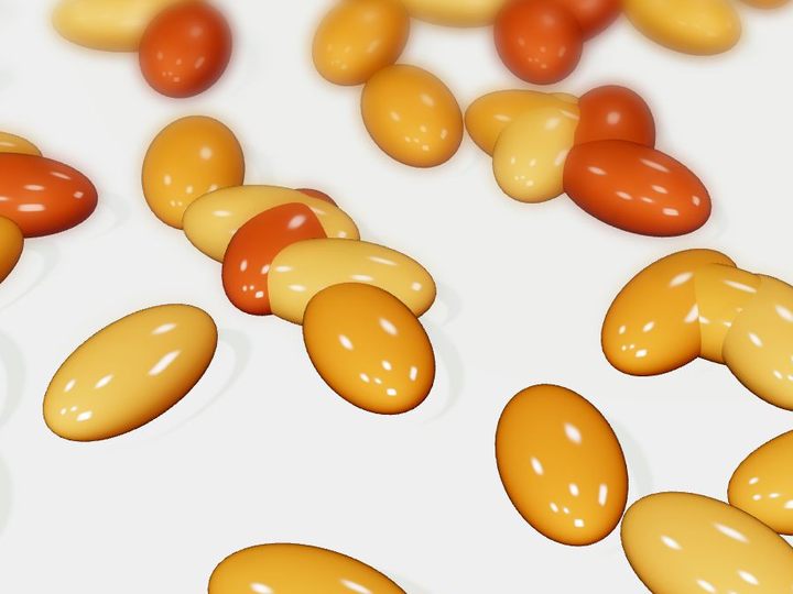 Amber and orange softgelatin capsules — representative of the softgel and nutraceutical range